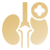 Kidney Health